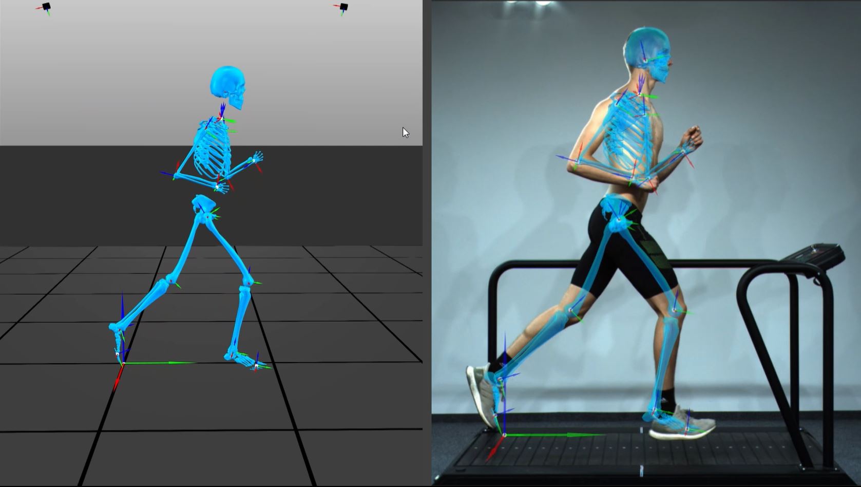 3d-analysis-contemplas